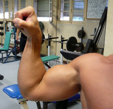 Musculation des avant-bras