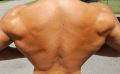Les 3 meilleurs exercices de musculation pour le dos