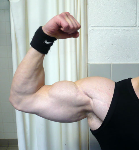 Programme Super Biceps