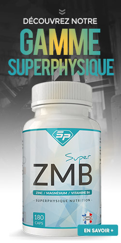 Super ZMB v2